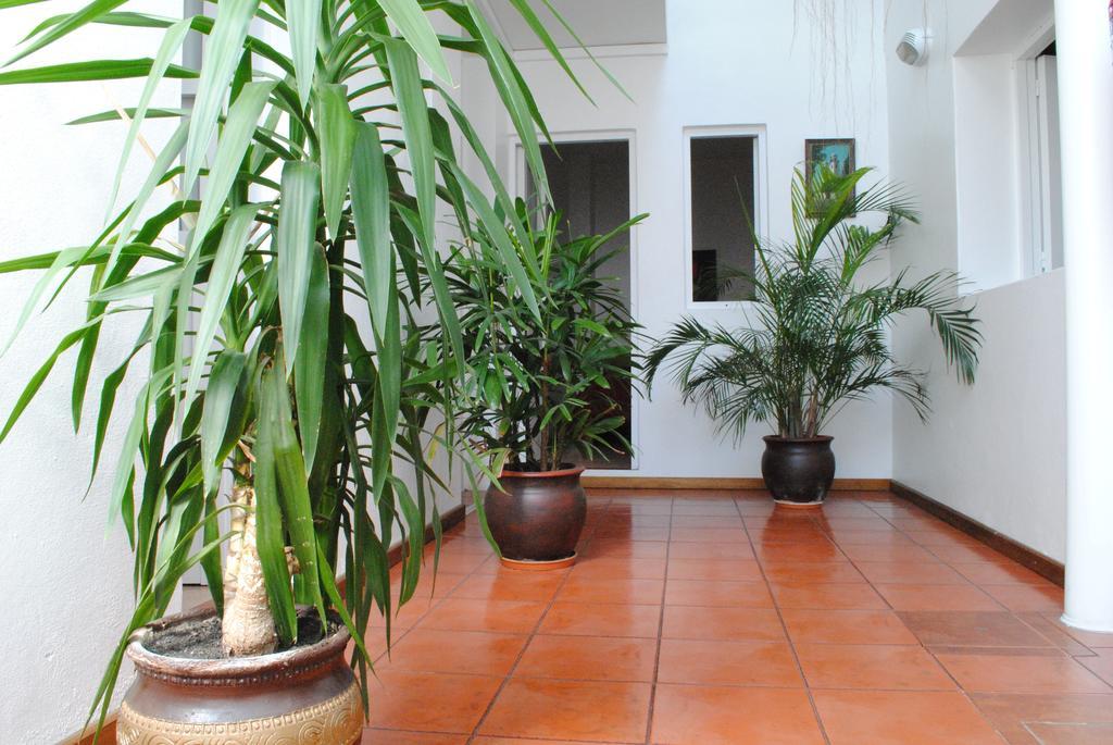 Hotel Romi Colonia del Sacramento Ngoại thất bức ảnh